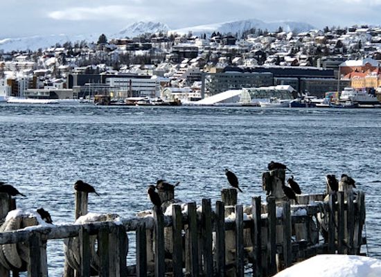 norway/tromso/tromsdalen/restaurant/allegro-fergekroa