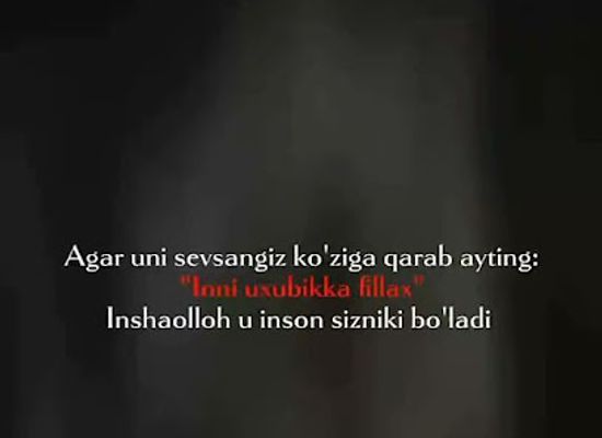 uzbekistan/andijan/restaurant/fozil-ota-to-yxonasi
