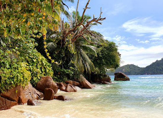 seychelles/ile-souris/restaurant/la-gaulette-restaurant
