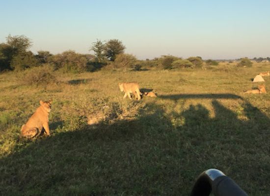 botswana/nxai-pan-national-park/restaurant/nxai-pan-north-camp