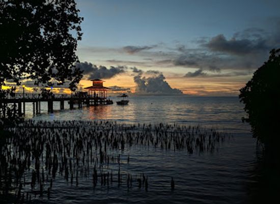micronesia/chuuk-lagoon/restaurant/mangroove-bar