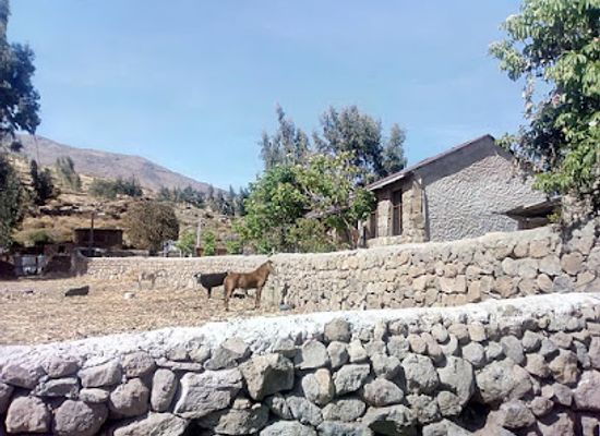 peru/colca-canyon-trek/restaurant/mikuna-wassi