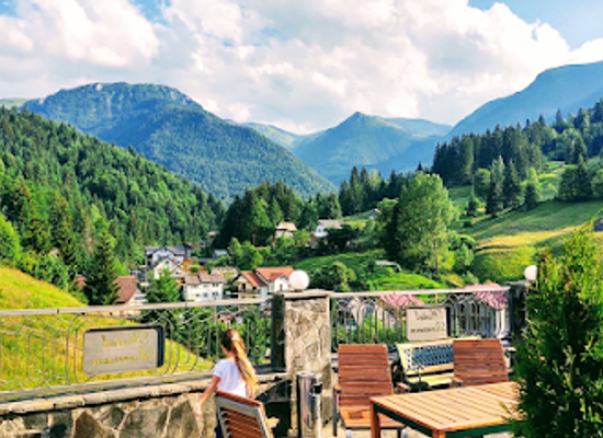 romania/rodnei-mountains/restaurant/hotel-roman