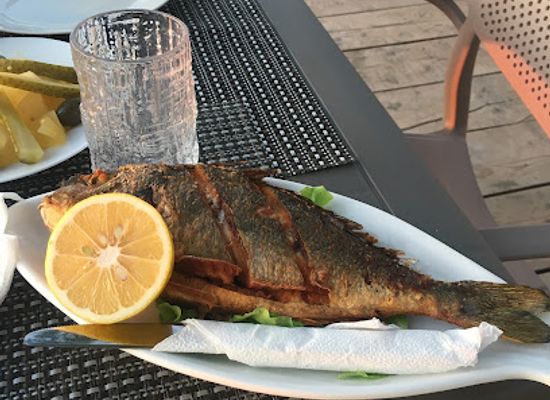 albania/lezhe/restaurant/bar-restorant-poseidoni