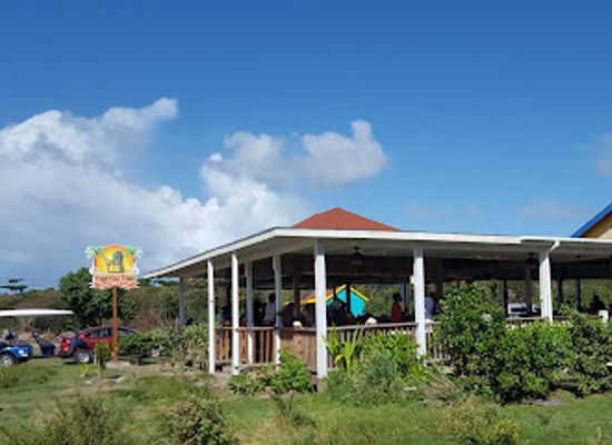 saint-kitts-and-nevis/saint-john-figtree-parish/restaurant/turtle-time-bar-grill