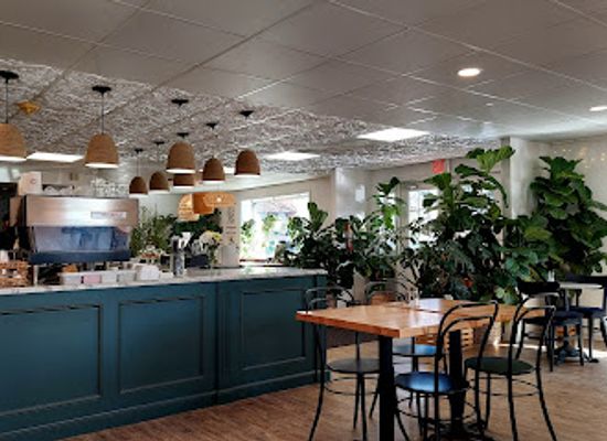 pennsylvania/dutch-country/restaurant/hudson-botanical-cafe-catering-houseplants