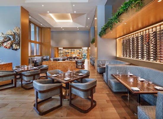 tennessee/nashville/restaurant/yolan