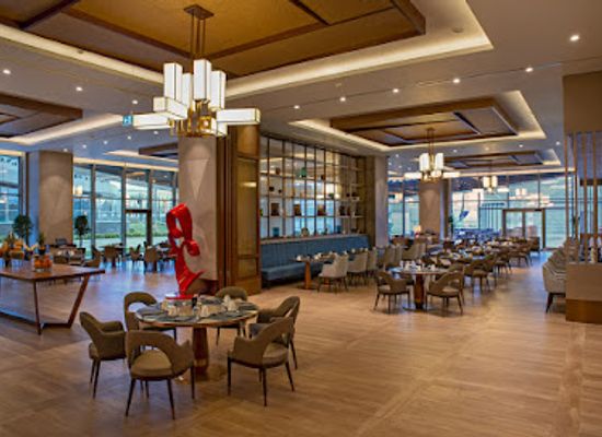uzbekistan/tashkent/shaykhantakhur/restaurant/shosh-restaurant-terrace