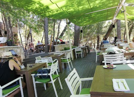 montenegro/ulcinj/restaurant/aragosta-ii
