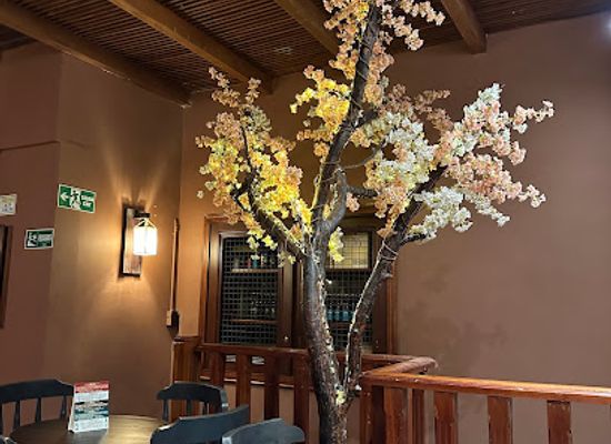 colombia/macarena-range/restaurant/oriental-gastropub