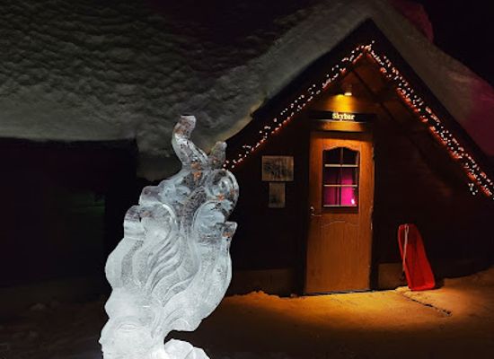 finland/lapland/restaurant/kota-restaurant
