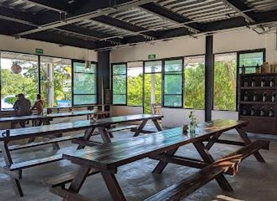 mexico/cancun/restaurant/casa-cervecera-pescadores