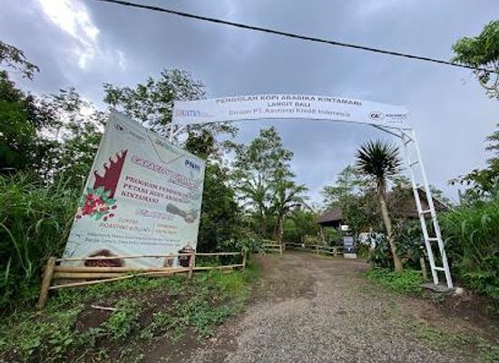 indonesia/bali/restaurant/organic-living-coffee-natural-farm