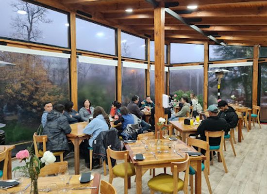 chile/nuble-region/restaurant/restaurante-alto-las-trancas