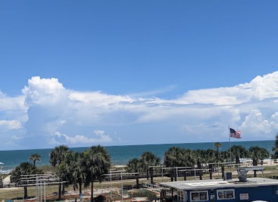 florida/amelia-island/restaurant/salt-life-food-shack