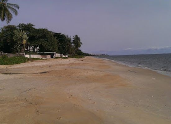 gabon/gaboon-estuary/restaurant/le-phare-du-large