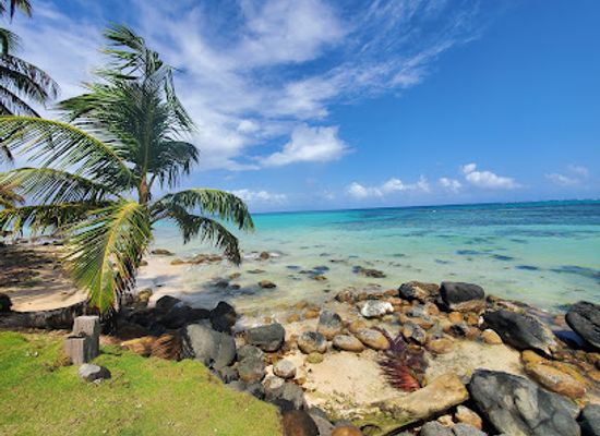 nicaragua/pearl-cays/restaurant/fry-fish-bar