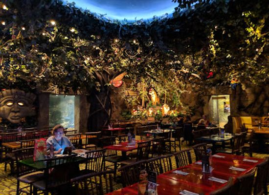 tennessee/tennessee-valley/restaurant/rainforest-cafe