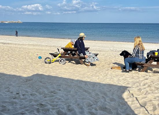 jersey/st-catherine-s-breakwater/restaurant/beach-cafe-jersey-the-hungry-whale