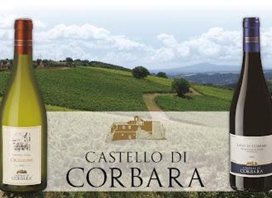 italy/umbria/restaurant/cantina-castello-di-corbara