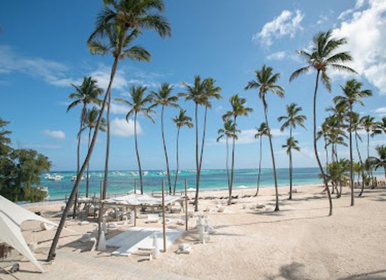 dominican-republic/bavaro/restaurant/jellyfish-restaurant