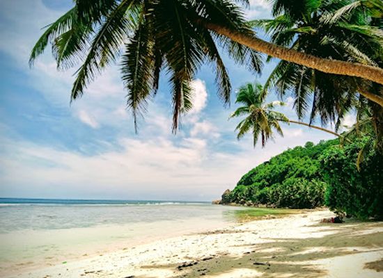 seychelles/ile-souris/restaurant/surfers-beach-restaurant