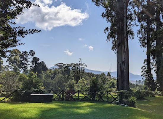 zimbabwe/chimanimani-national-park/restaurant/tonys-coffee-and-chocolate-shop