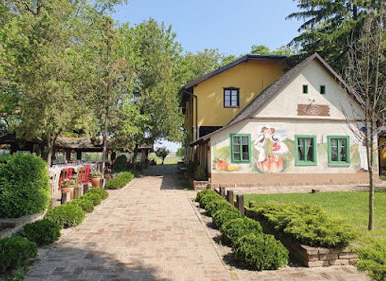 serbia/vojvodina/restaurant/stojsic-salas