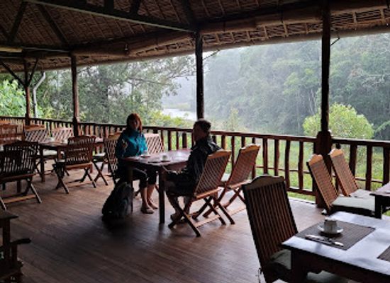 madagascar/andasibe/restaurant/reserve-speciale-d-analamazoatra