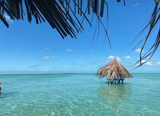 belize/glover-s-reef-atoll/restaurant/blue-bayou