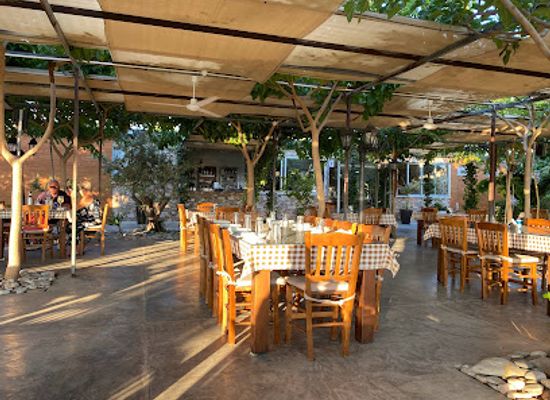 cyprus/paphos-district/restaurant/nature-cafe-restaurant