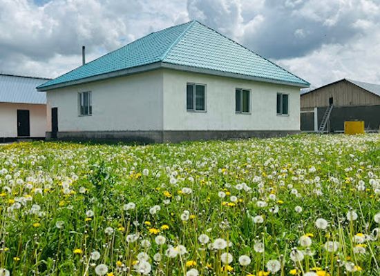 kazakhstan/tian-shan/restaurant/gostevoy-dom-ardak