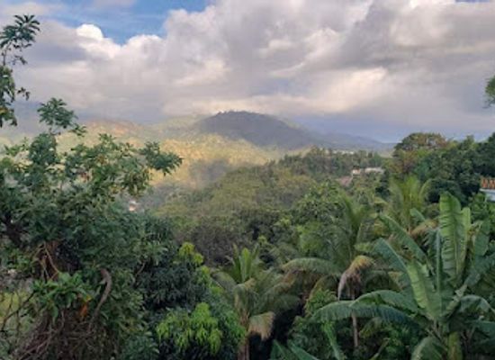 jamaica/blue-mountains/restaurant/reggae-mountain-lounge