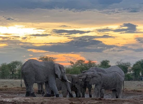 botswana/nxai-pan-national-park/restaurant/kwando-nxai-pan-lodge