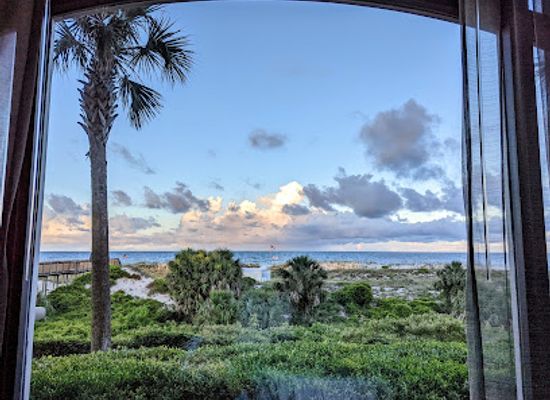 florida/amelia-island/restaurant/salt