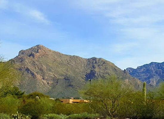 arizona/santa-catalina-mountains/restaurant/tohono-chul-gardens-galleries-and-bistro