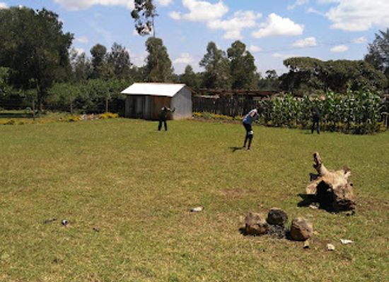 kenya/kitale/restaurant/villagge-inn