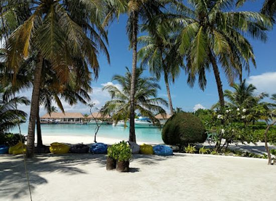 maldives/guraidhoo-island/restaurant/the-kitchen