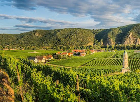 austria/wachau-valley/restaurant/wolfgang-bauerl