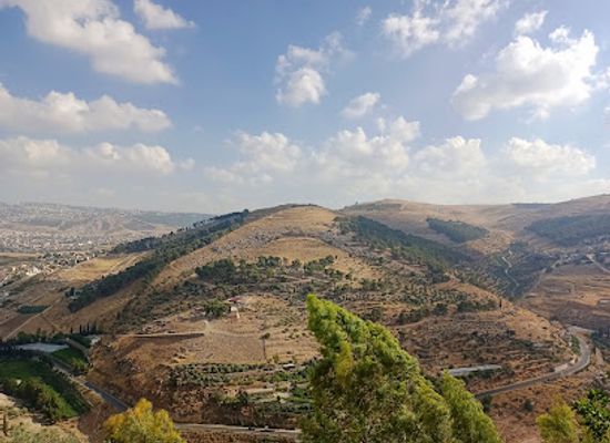 jordan/dibeen-forest/restaurant/sindyan-resort-restaurant