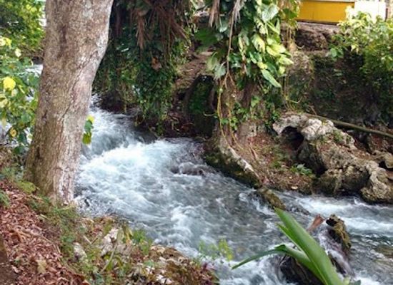 jamaica/negril/restaurant/juicy