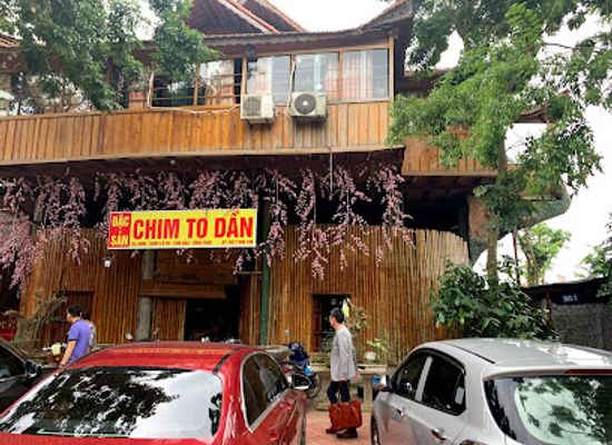 vietnam/tam-dao/restaurant/nha-hang-chim-to-dan