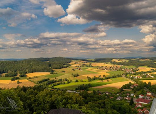germany/oberpfälzer-wald/restaurant/burg-falkenstein-restaurant