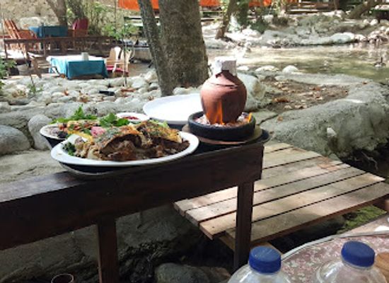 turkiye/lycia/restaurant/ulupinar-tropik-restaurant