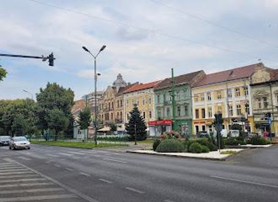 romania/timis/restaurant/d-amici-ristorante