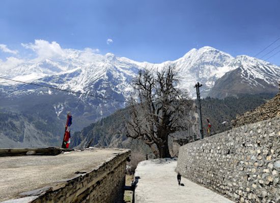 nepal/manang/restaurant/tanki-manang
