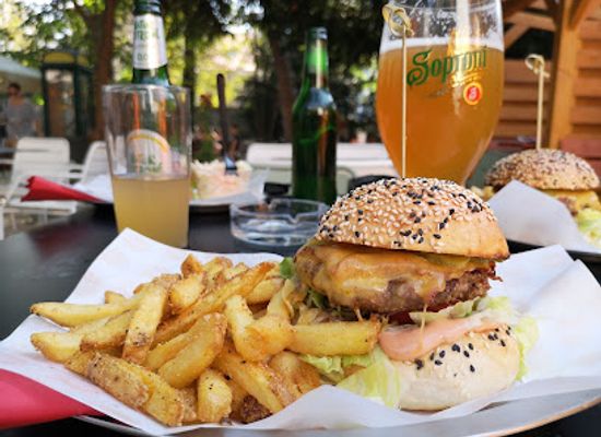 hungary/sopron/restaurant/vankonyha