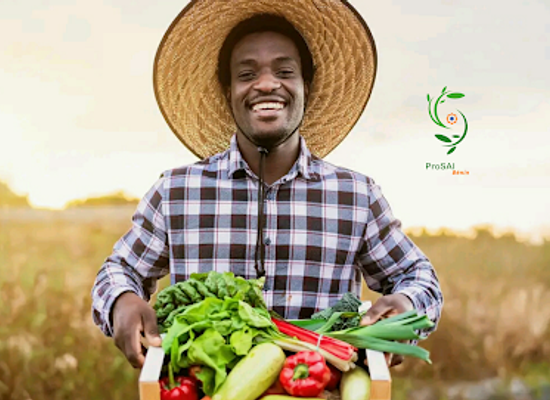 benin/atacora/restaurant/riz-alafia