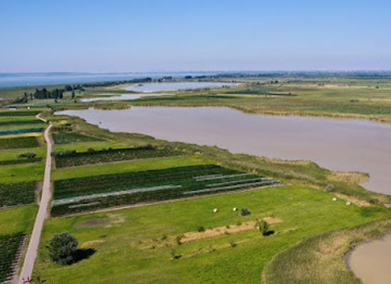 austria/seewinkel/restaurant/lake-neusiedl-seewinkel-national-park