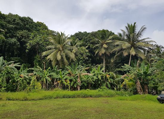 micronesia/outer-islands-of-pohnpei/restaurant/pohnpei